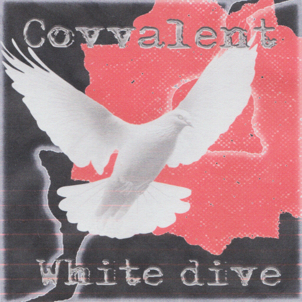 covvalent cover 3kx3k