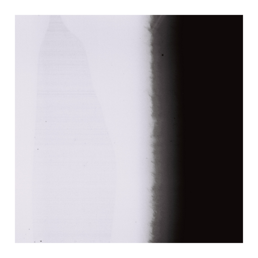 FLN002 Artwork